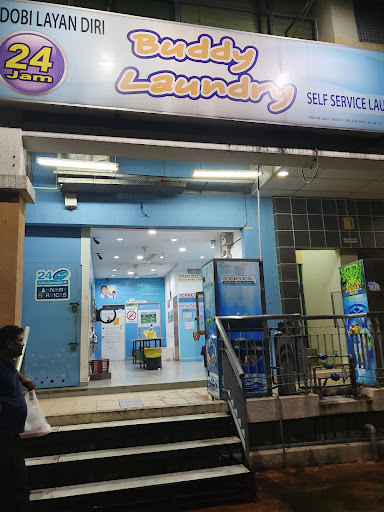 Buddy Laundry